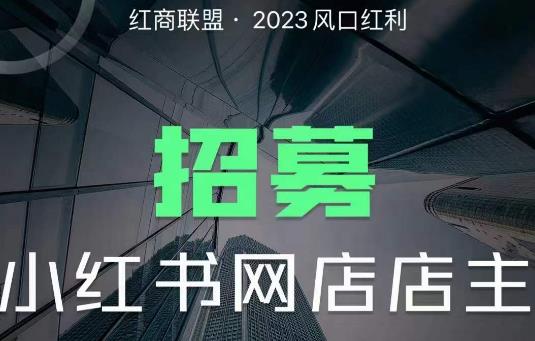 红商联盟·小红书无货源电商1.0，0粉丝无需囤货，小白也可以轻松上手的无货源项目汇创网-网创项目_汇创网_中创网_福缘网_冒泡网_网创项目平台汇创网