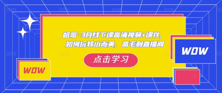 哈哥·3月线下实操课高清视频+课件，如何玩转小而美，高毛利直播间汇创网-网创项目_汇创网_中创网_福缘网_冒泡网_资源整合平台汇创网