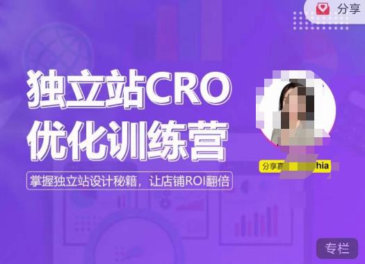 独立站CRO优化训练营，掌握独立站设计秘籍，打造高转化的独立站，让店铺ROI翻倍汇创网-网创项目_汇创网_中创网_福缘网_冒泡网_资源整合平台汇创网
