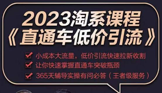 2023直通车低价引流玩法课程，小成本大流量，低价引流快速拉新收割，让你快速掌握直通车突破瓶颈汇创网-网创项目_汇创网_中创网_福缘网_冒泡网_网创项目平台汇创网