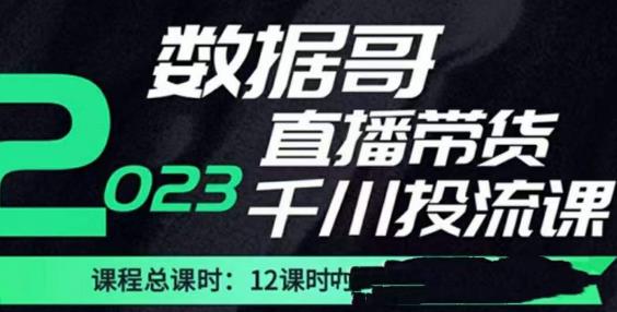 数据哥2023直播电商巨量千川付费投流实操课，快速掌握直播带货运营投放策略汇创网-网创项目_汇创网_中创网_福缘网_冒泡网_资源整合平台汇创网