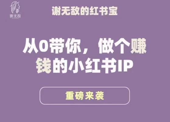 谢无敌·小红书运营大宝典，从0带你做个赚钱的小红书IP汇创网-网创项目_汇创网_中创网_福缘网_冒泡网_资源整合平台汇创网