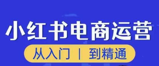 顽石小红书电商高阶运营课程，从入门到精通，玩法流程持续更新汇创网-网创项目_汇创网_中创网_福缘网_冒泡网_资源整合平台汇创网