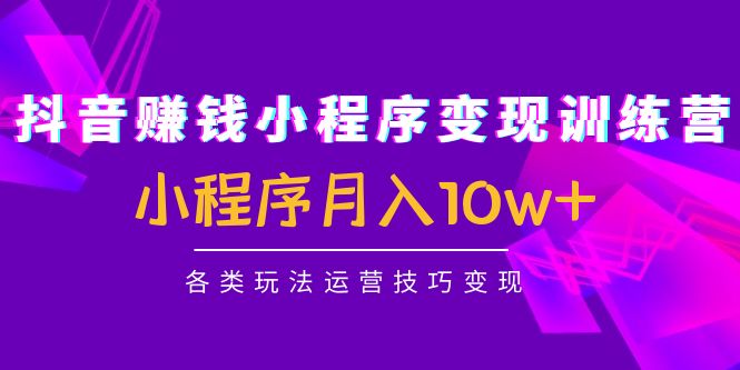 抖音赚钱小程序变现训练营：小程序月入10w+各类玩法运营技巧变现网创项目_汇创网_中创网_福缘网_冒泡网_资源整合平台汇创网