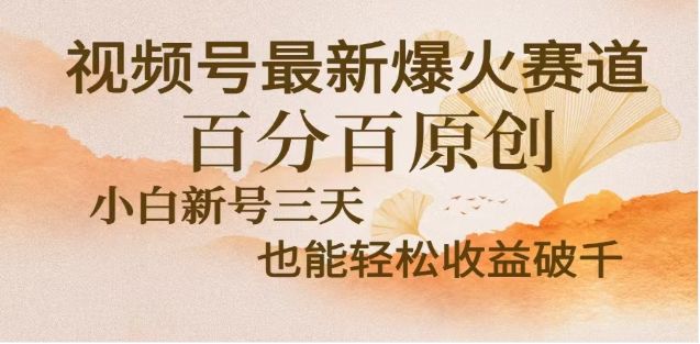 视频号独家玩法，老年养生赛道，无脑搬运爆款视频，日入2000+汇创网-网创项目_汇创网_中创网_福缘网_冒泡网_资源整合平台汇创网