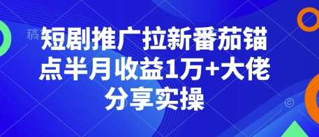 短剧推广拉新番茄锚点半月收益1万+大佬分享实操汇创网-网创项目_汇创网_中创网_福缘网_冒泡网_资源整合平台汇创网