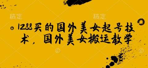 1288买的国外美女起号技术，国外美女搬运教学汇创网-网创项目_汇创网_中创网_福缘网_冒泡网_资源整合平台汇创网