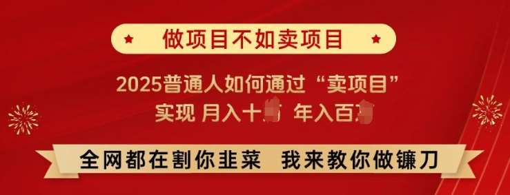 必看!做项目不如卖项目，2025普通人如何通过“卖项目”实现月入十个，年入百个【揭秘】汇创网-网创项目_汇创网_中创网_福缘网_冒泡网_资源整合平台汇创网