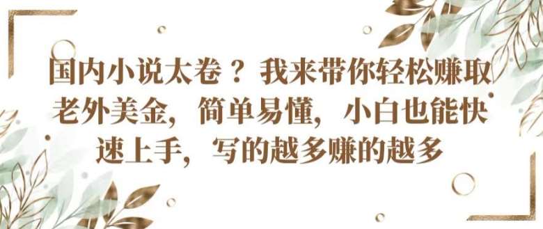 国内小说太卷 ?带你轻松赚取老外美金，简单易懂，小白也能快速上手，写的越多赚的越多【揭秘】汇创网-网创项目_汇创网_中创网_福缘网_冒泡网_资源整合平台汇创网