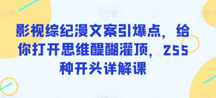 影视综纪漫文案引爆点，给你打开思维醍醐灌顶，255种开头详解课汇创网-网创项目_汇创网_中创网_福缘网_冒泡网_资源整合平台汇创网