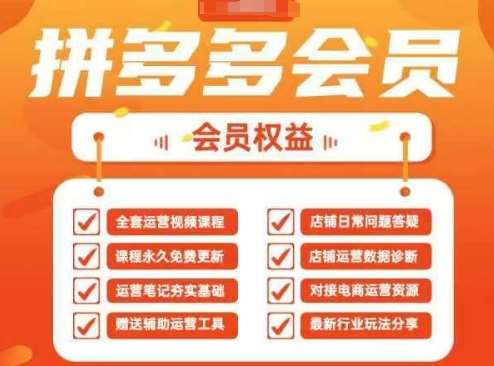 2025拼多多运营实战课，40节全流程教学，覆盖拼多多运营全链路汇创网-网创项目_汇创网_中创网_福缘网_冒泡网_资源整合平台汇创网