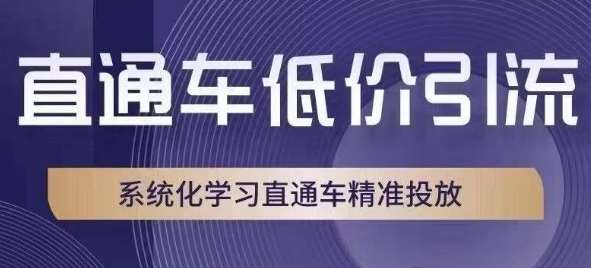 直通车低价引流课，系统化学习直通车精准投放汇创网-网创项目_汇创网_中创网_福缘网_冒泡网_资源整合平台汇创网