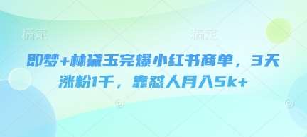 即梦+林黛玉完爆小红书商单，3天涨粉1千，靠怼人月入5k+汇创网-网创项目_汇创网_中创网_福缘网_冒泡网_网创项目平台汇创网