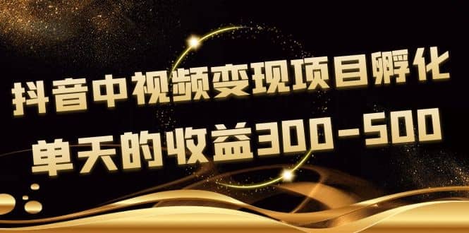 黄岛主《抖音中视频变现项目孵化》单天的收益300-500 操作简单粗暴汇创网-网创项目_汇创网_中创网_福缘网_冒泡网_资源整合平台汇创网