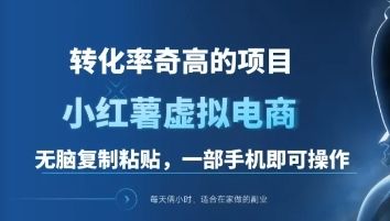 一单49.9，转化率奇高的项目，冷门暴利的小红书虚拟电商汇创网-网创项目_汇创网_中创网_福缘网_冒泡网_资源整合平台汇创网