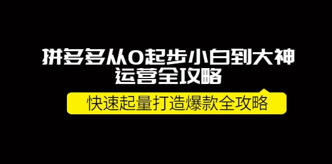 拼多多从0起步小白到大神运营全攻略汇创网-网创项目_汇创网_中创网_福缘网_冒泡网_资源整合平台汇创网