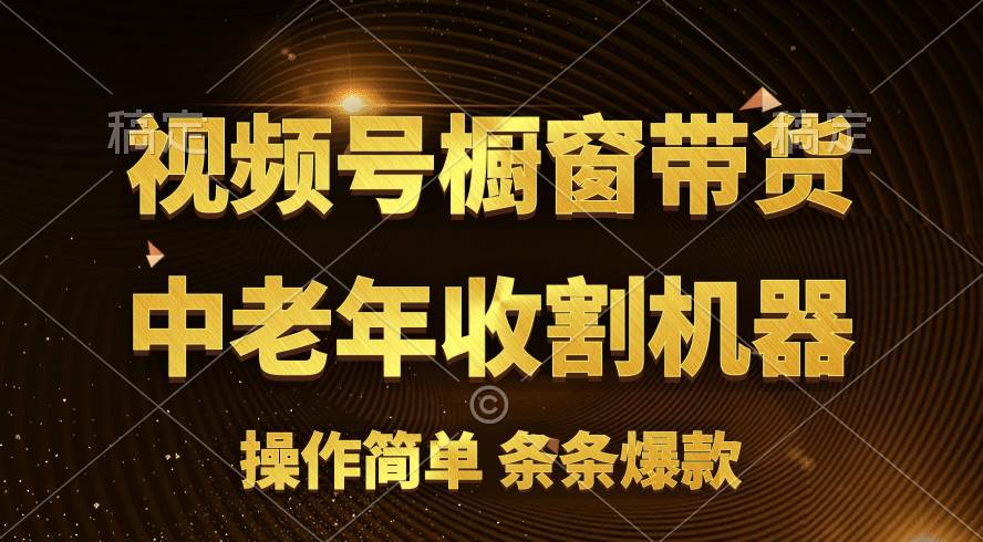 （11009期）[你的孩子成功取得高位]视频号最火爆赛道，橱窗带货，流量分成计划，条…汇创网-网创项目_汇创网_中创网_福缘网_冒泡网_资源整合平台汇创网
