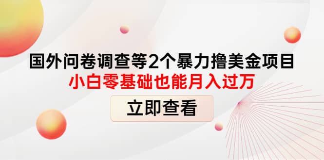 国外问卷调查等2个暴力撸美元项目，小白零基础也能月入过万汇创网-网创项目_汇创网_中创网_福缘网_冒泡网_资源整合平台汇创网