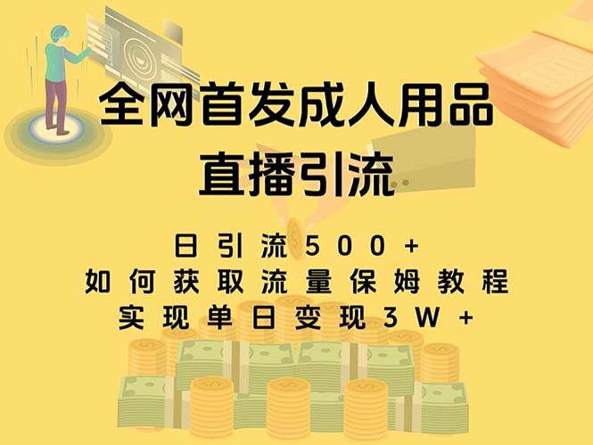 （8193期）最新全网独创首发，成人用品直播引流获客暴力玩法，单日变现3w保姆级教程汇创网-网创项目_汇创网_中创网_福缘网_冒泡网_资源整合平台汇创网
