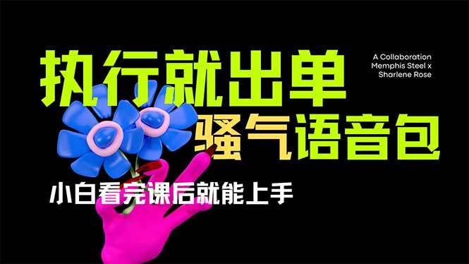 （14170期）爆火全网的开车导航骚气语音包,只要执行就出单，小白看完课程就能实操…汇创网-网创项目_汇创网_中创网_福缘网_冒泡网_网创项目平台汇创网