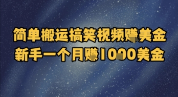 简单搬运搞笑视频挣美金，新手一个月入1k美金汇创网-网创项目_汇创网_中创网_福缘网_冒泡网_资源整合平台汇创网