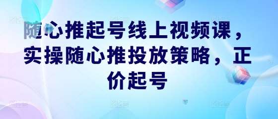 随心推起号线上视频课，实操随心推投放策略，正价起号汇创网-网创项目_汇创网_中创网_福缘网_冒泡网_网创项目平台汇创网
