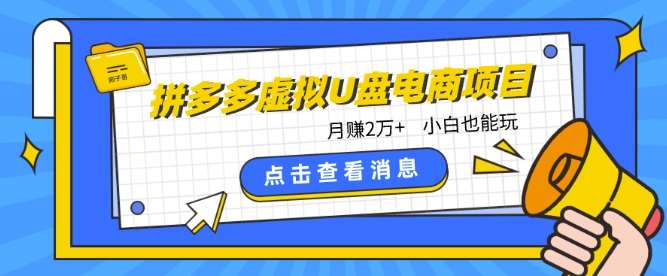 拼多多虚拟U盘电商红利项目：月赚2万+，新手小白也能玩汇创网-网创项目_汇创网_中创网_福缘网_冒泡网_资源整合平台汇创网