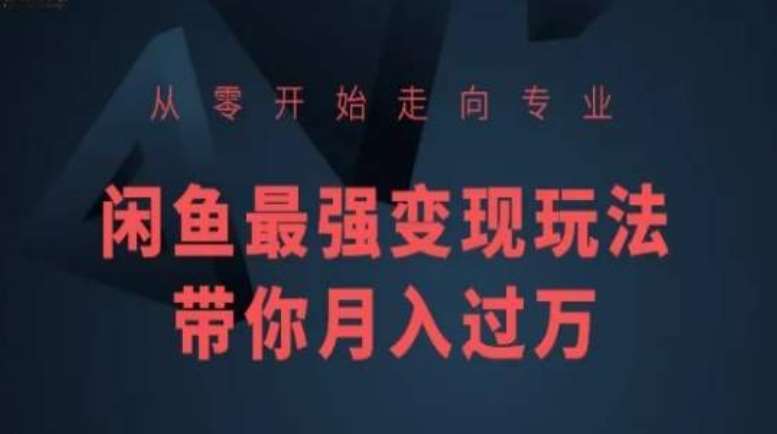 从零开始走向专业，闲鱼最强变现玩法带你月入过万汇创网-网创项目_汇创网_中创网_福缘网_冒泡网_资源整合平台汇创网