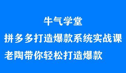 牛气学堂拼多多打造爆款系统实战课，老陶带你轻松打造爆款汇创网-网创项目_汇创网_中创网_福缘网_冒泡网_资源整合平台汇创网