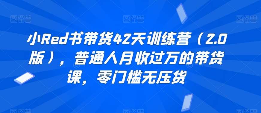 小Red书带货42天训练营（2.0版），普通人月收过万的带货课，零门槛无压货汇创网-网创项目_汇创网_中创网_福缘网_冒泡网_资源整合平台汇创网