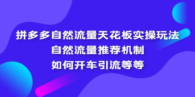 拼多多自然流量天花板实操玩法：自然流量推荐机制，如何开车引流等等汇创网-网创项目_汇创网_中创网_福缘网_冒泡网_网创项目平台汇创网