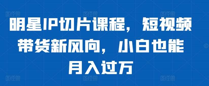 明星IP切片课程，短视频带货新风向，小白也能月入过万汇创网-网创项目_汇创网_中创网_福缘网_冒泡网_资源整合平台汇创网