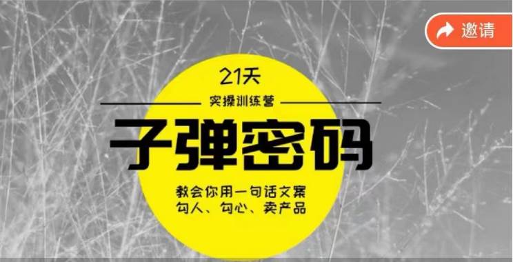 《子弹密码训练营》-用一句话文案勾人勾心卖产品，21天学到顶尖文案大师策略和技巧汇创网-网创项目_汇创网_中创网_福缘网_冒泡网_资源整合平台汇创网