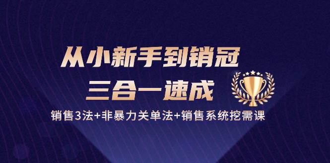 从小新手到销冠三合一速成：销售3法+非暴力关单法+销售系统挖需课 (27节)汇创网-网创项目_汇创网_中创网_福缘网_冒泡网_资源整合平台汇创网