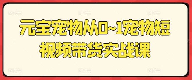 元宝宠物从0~1宠物短视频带货实战课汇创网-网创项目_汇创网_中创网_福缘网_冒泡网_资源整合平台汇创网