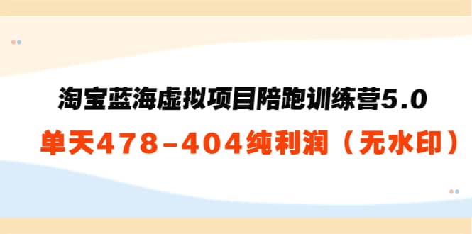 淘宝蓝海虚拟项目陪跑训练营5.0：单天478纯利润（无水印）汇创网-网创项目_汇创网_中创网_福缘网_冒泡网_资源整合平台汇创网