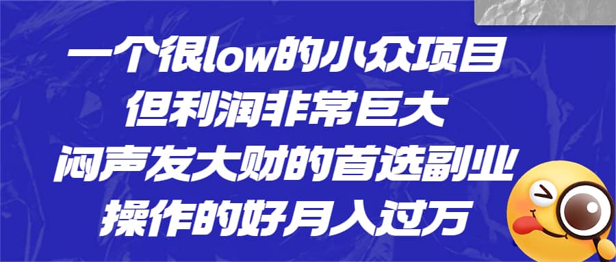 一个很low的小众项目，但利润非常巨大，闷声发大财的首选副业，月入过万网创项目_汇创网_中创网_福缘网_冒泡网_资源整合平台汇创网
