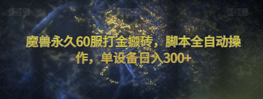 魔兽永久60服打金搬砖，脚本全自动操作，单设备日入300+【揭秘】汇创网-网创项目_汇创网_中创网_福缘网_冒泡网_资源整合平台汇创网
