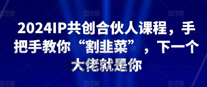 2024IP共创合伙人课程，手把手教你“割韭菜”，下一个大佬就是你汇创网-网创项目_汇创网_中创网_福缘网_冒泡网_网创项目平台汇创网