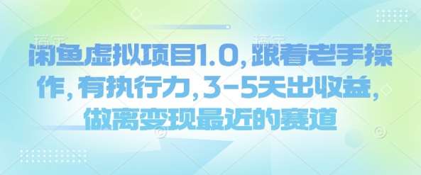 闲鱼虚拟项目1.0，跟着老手操作，有执行力，3-5天出收益，做离变现最近的赛道汇创网-网创项目_汇创网_中创网_福缘网_冒泡网_网创项目平台汇创网