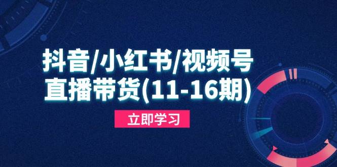 （14611期）抖音/小红书/视频号/直播带货(11-16期)，快速掌握平台规则，打造爆款内容汇创网-网创项目_汇创网_中创网_福缘网_冒泡网_资源整合平台汇创网