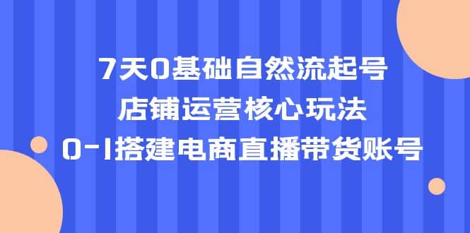 7天0基础自然流起号，店铺运营核心玩法，0-1搭建电商直播带货账号汇创网-网创项目_汇创网_中创网_福缘网_冒泡网_资源整合平台汇创网