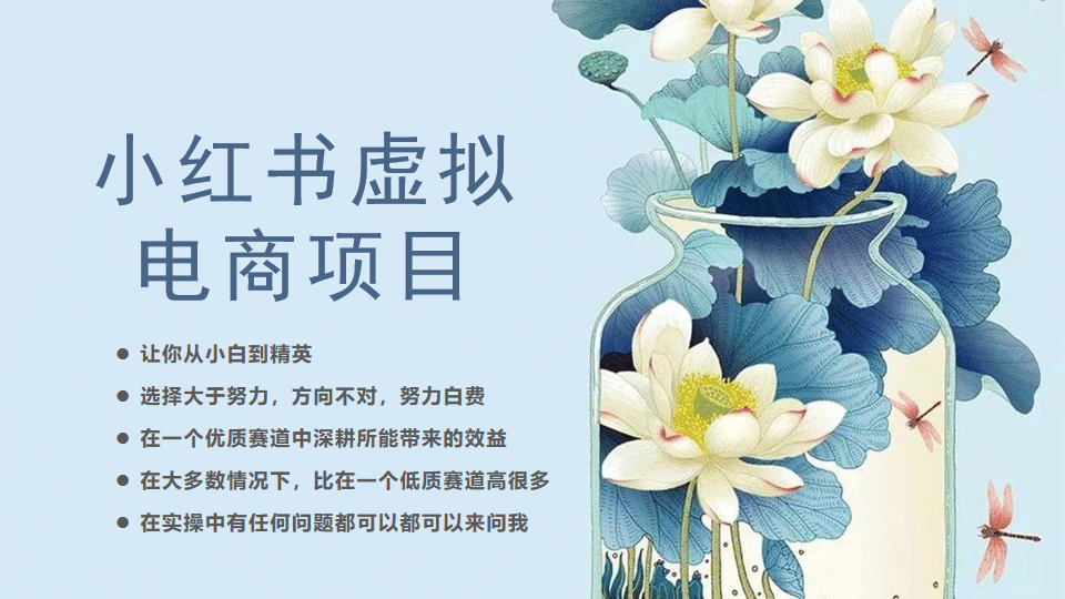 小红书虚拟电商从0到1，让你从小白到精英（20节实操课程）网创项目_汇创网_中创网_福缘网_冒泡网_资源整合平台汇创网