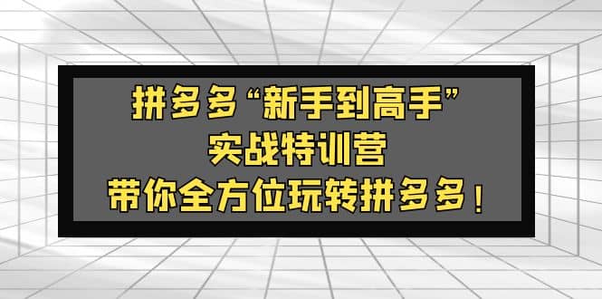 拼多多“新手到高手”实战特训营：带你全方位玩转拼多多汇创网-网创项目_汇创网_中创网_福缘网_冒泡网_资源整合平台汇创网