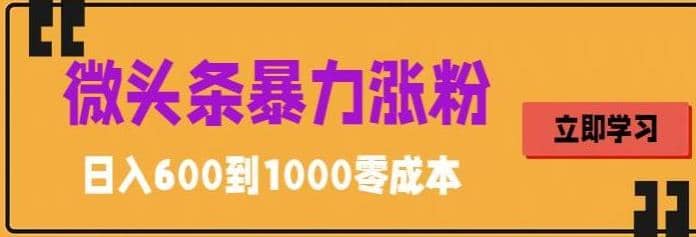 微头条暴力涨粉技巧搬运文案就能涨几万粉丝，简单0成本，日赚600汇创网-网创项目_汇创网_中创网_福缘网_冒泡网_资源整合平台汇创网
