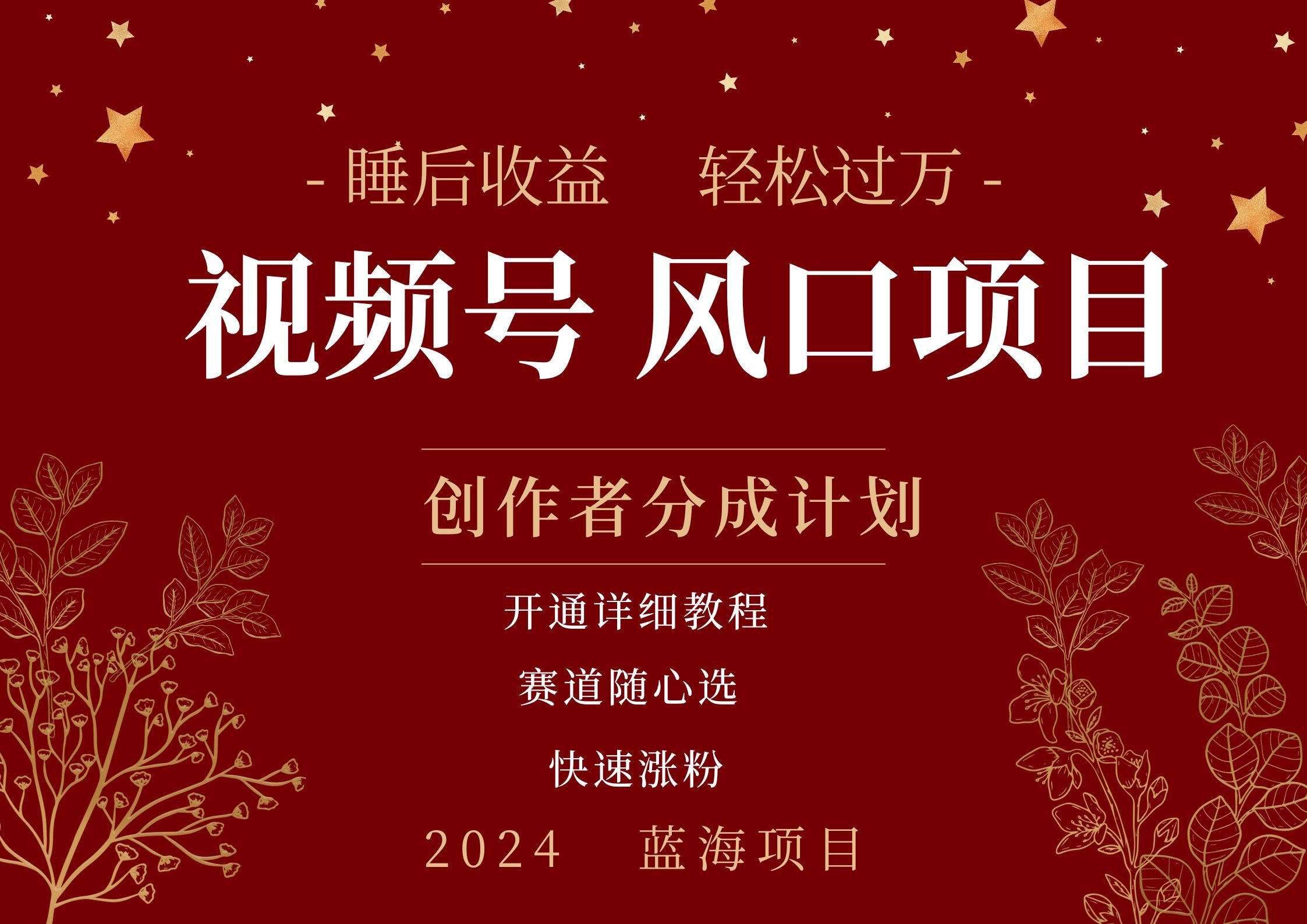 拥有睡眠收益的微信视频号大风口项目，轻松月入过万+，多赛道选择，可矩阵，玩法简单轻松上手汇创网-网创项目_汇创网_中创网_福缘网_冒泡网_资源整合平台汇创网