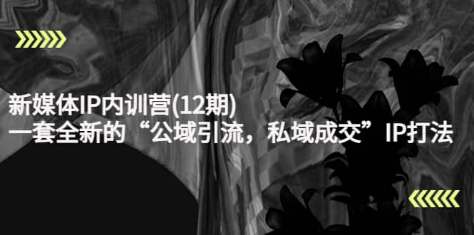 新媒体IP内训营(12期)，一套全新的“公域引流，私域成交”IP打法，直接带走汇创网-网创项目_汇创网_中创网_福缘网_冒泡网_资源整合平台汇创网