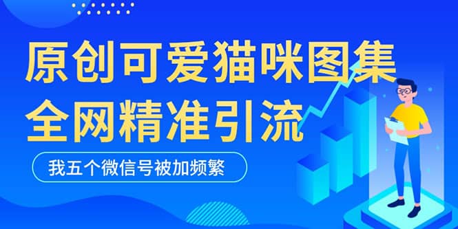 黑科技纯原创可爱猫咪图片，全网精准引流，实操5个VX号被加频繁网创项目_汇创网_中创网_福缘网_冒泡网_资源整合平台汇创网