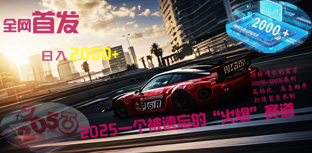 全网首发：2025一个被遗忘的“火爆”赛道轻松日入2000+汇创网-网创项目_汇创网_中创网_福缘网_冒泡网_资源整合平台汇创网