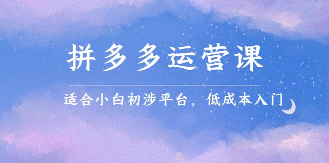 拼多多运营课，适合小白初涉平台，低成本入门汇创网-网创项目_汇创网_中创网_福缘网_冒泡网_资源整合平台汇创网